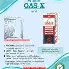 Gas-X Syrup