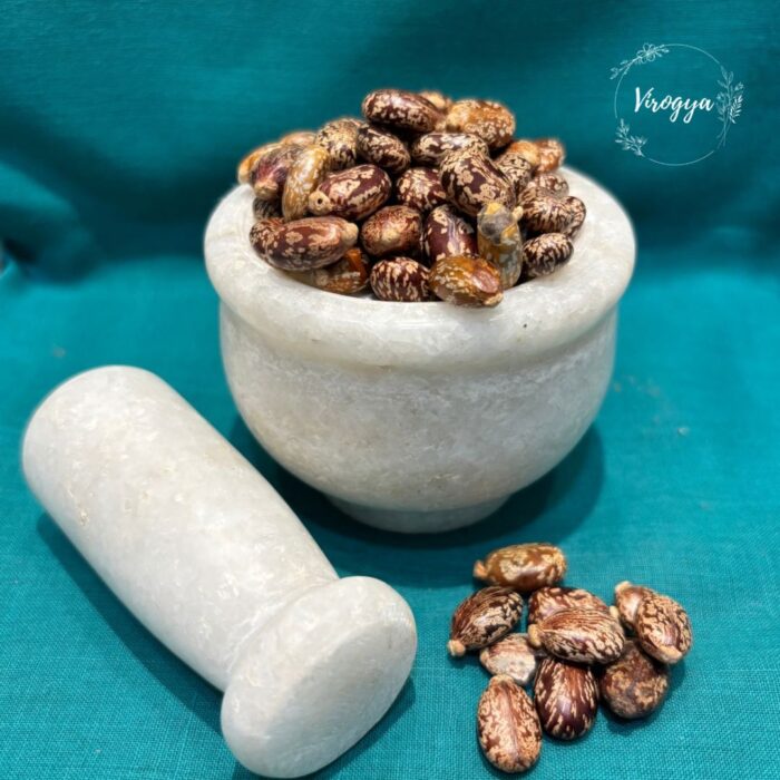 Arandi beej 166
