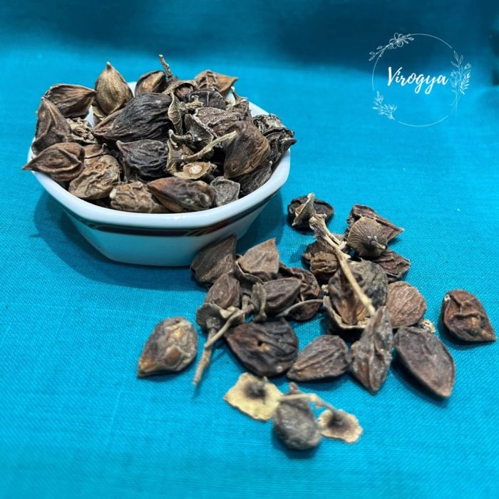 Lisoda147