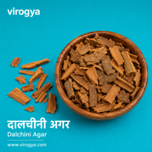 Daalchini (Agar)
