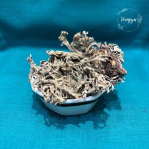 Chhad Chhaila/Patthar Phool