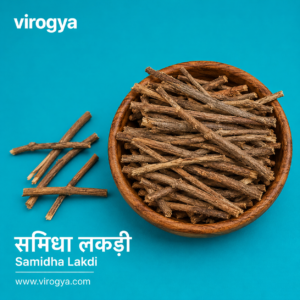 Samidha Lakdi